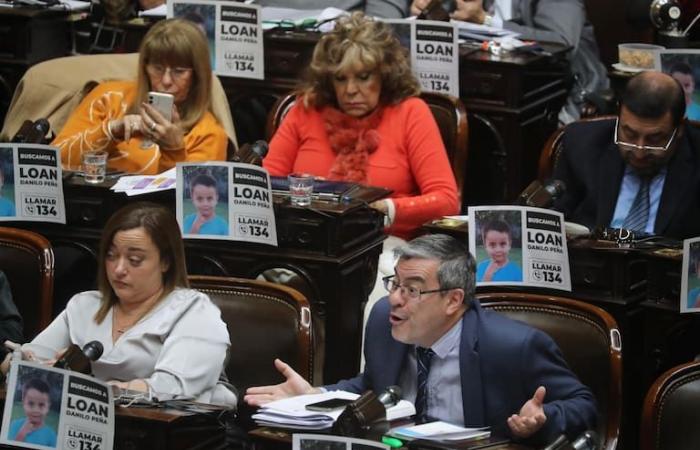 Lombardi criticized the deputies of Unión por la Patria for putting Loan posters on their benches