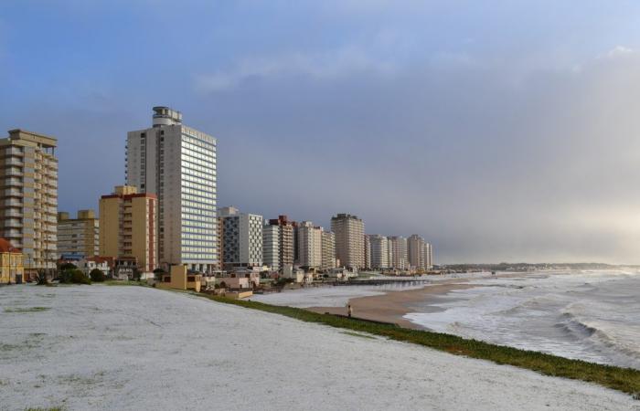 They predict that this Friday it could snow in Mar del Plata and other cities on the Buenos Aires coast