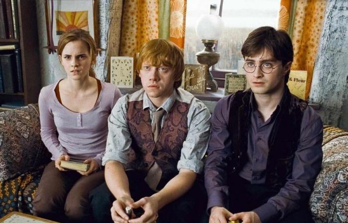 When does the Harry Potter series premiere?