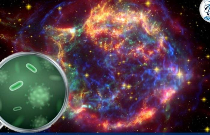 NASA discovers new mutant bacteria in space – Teach me about Science