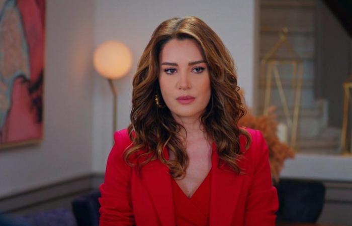 Meriç apologizes to Yildiz after kissing Doğan and quits his job