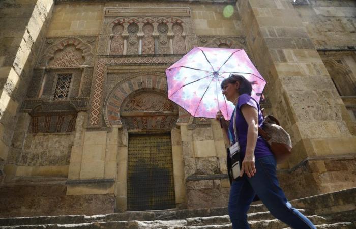 Severe thermal stress, a tourist walk through Córdoba in summer
