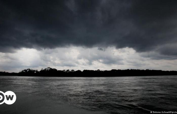Oil spill contaminates Amazon river in Ecuador – DW – 06/28/2024
