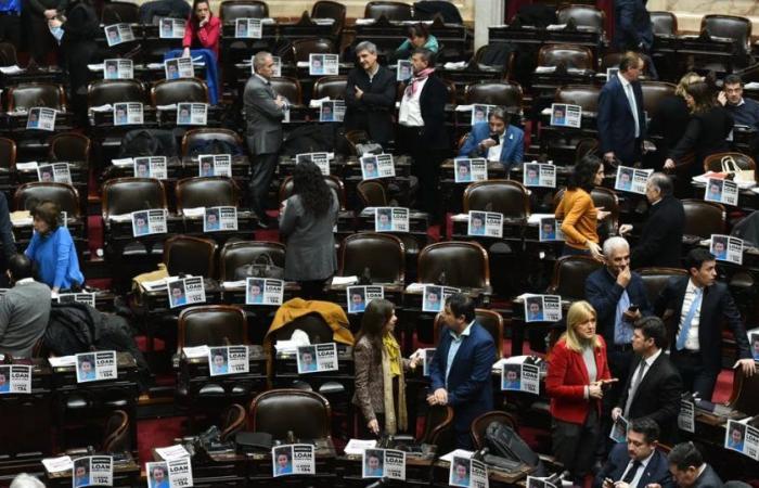 “Looking for Loan”: the posters that some deputies placed in the Session for the Bases Law