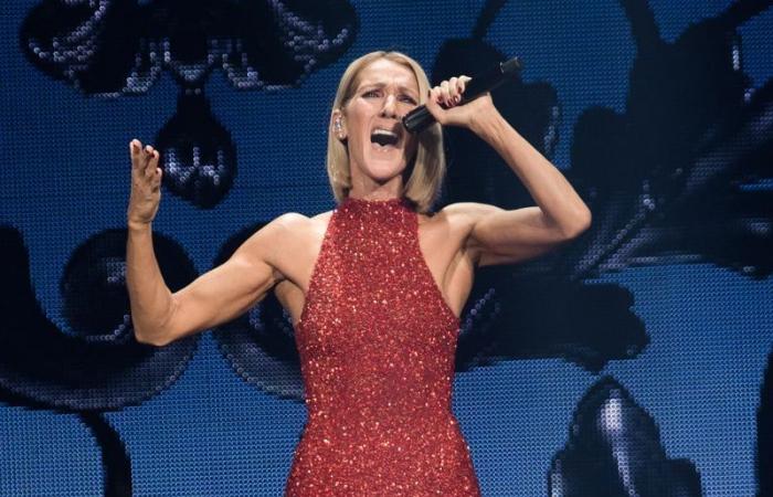 “If I can’t walk, I’ll crawl”: Céline Dion’s heartbreaking confessions in her shocking documentary