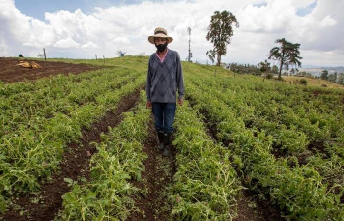 Government approves decree seeking to strengthen peasant food sovereignty in Colombia