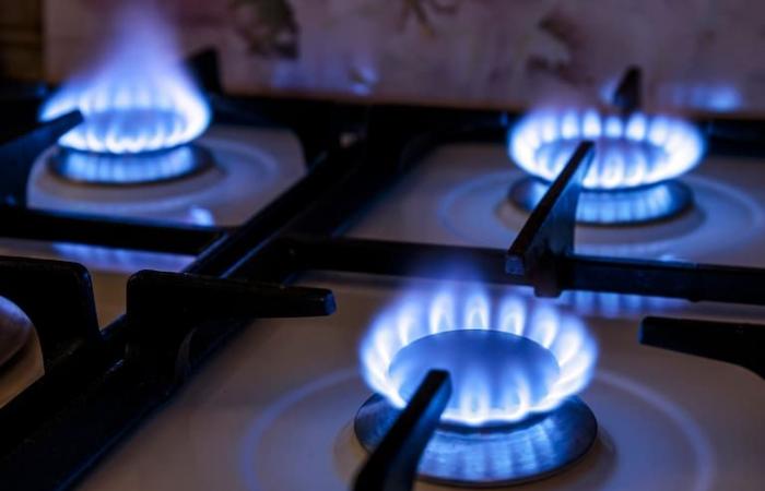 The Government freezes gas and electricity rates in July