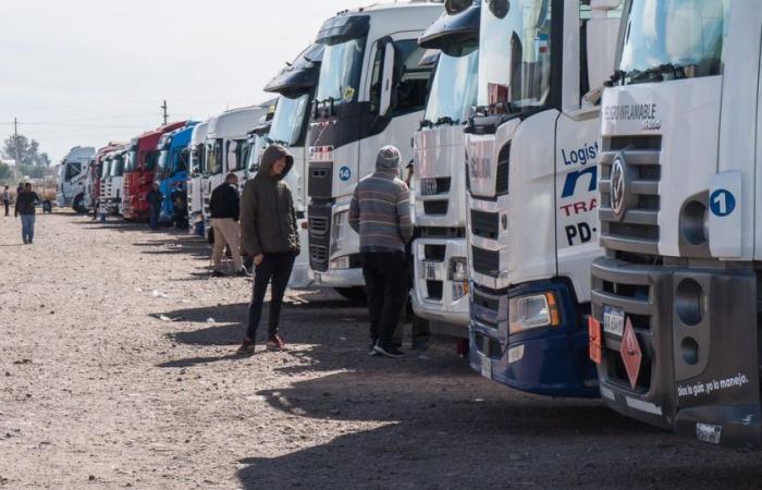 Another truck driver who had been stranded while waiting for the reopening of the Chilean border crossing has died