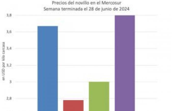 minimal changes in Mercosur and new record in the United States – Valor Carne