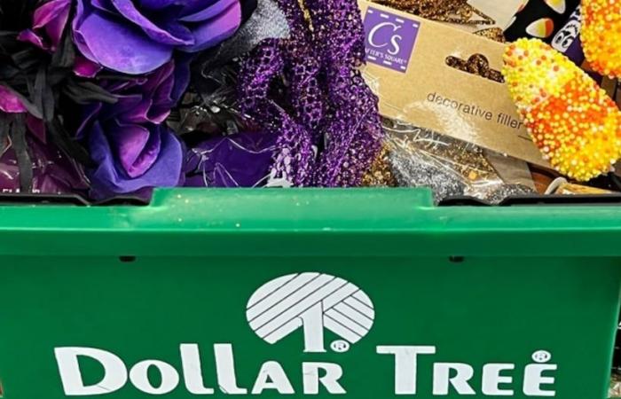 Dollar Tree: 5 tips you should keep in mind when shopping | United States | nnda nnlt | MIX