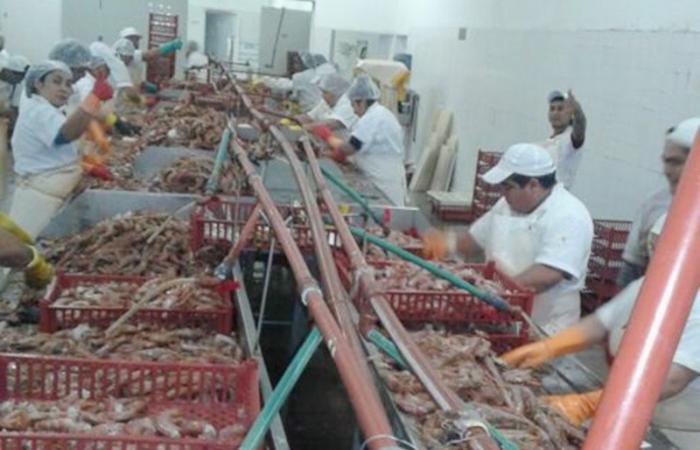 Buenos Aires did not want Río Negro to obtain the social quota for shrimp