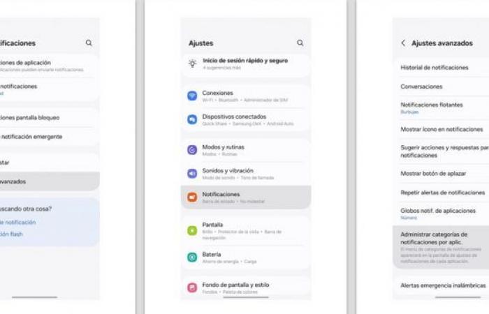 Customize your notifications with Samsung’s One UI 6.1 update – Samsung Newsroom Argentina
