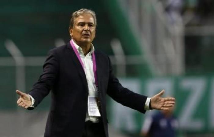Jorge Luis Pinto analyzed the present of the Colombian National Team: ‘The generation is brilliant’ | Copa America 2024