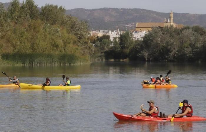 KAYAKÚRTUBA 2024 CÓRDOBA | Córdoba hosts the ‘Kayakúrtuba 2024’ this weekend with around 70 canoeists