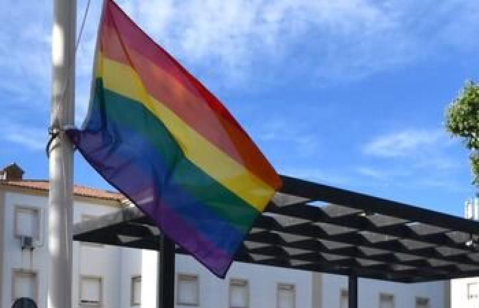 Pride Day celebration with conference and raising of the rainbow flag