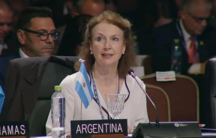 Diana Mondino asked the OAS for a solution to the Malvinas Islands conflict and the claim was approved by acclamation