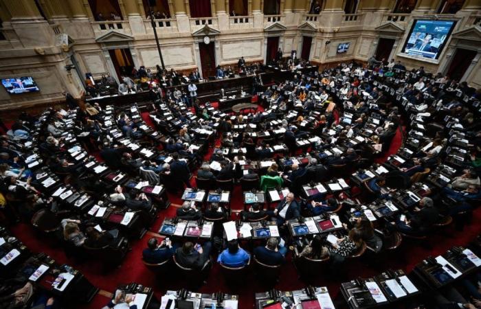The Argentine Chamber of Deputies ratifies the State scrapping law promoted by Milei