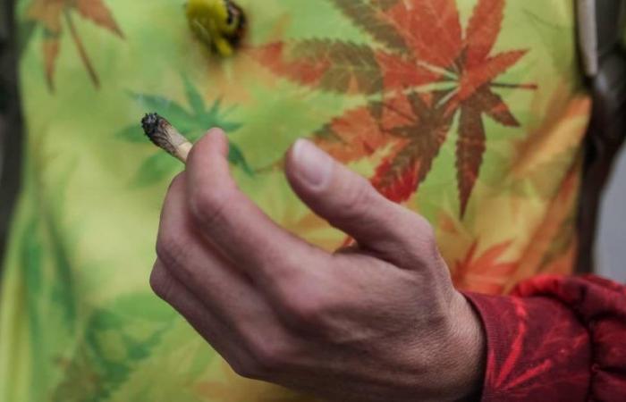 Brazil decriminalizes possession and consumption of marijuana for personal use