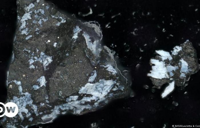 NASA finds phosphate in samples from the asteroid Bennu – DW – 06/28/2024
