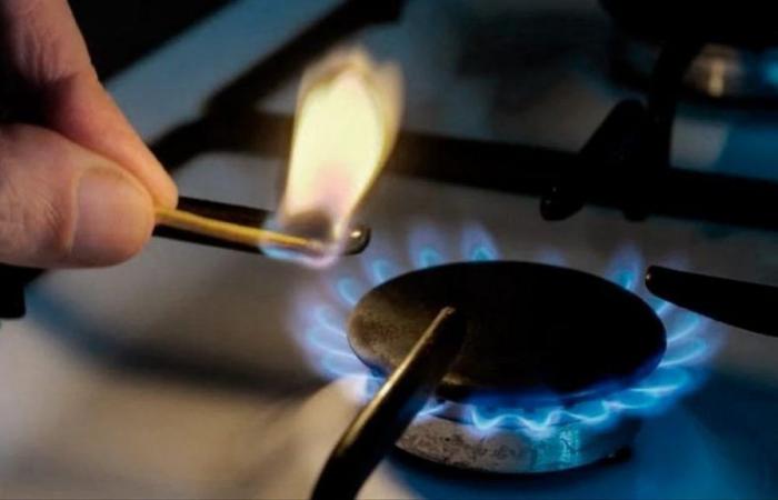 The Government postponed the increases in electricity and gas rates
