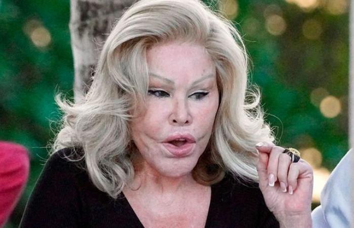 Who is Jocelyn Wildenstein, the Catwoman of New York who went from being a billionaire to losing her entire fortune and living on social security