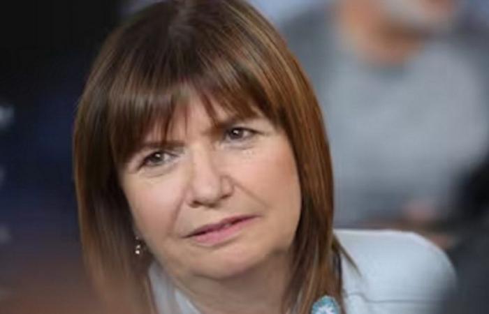 Bullrich said that to search for Loan they will use “radiological equipment to see the bellies of the animals”