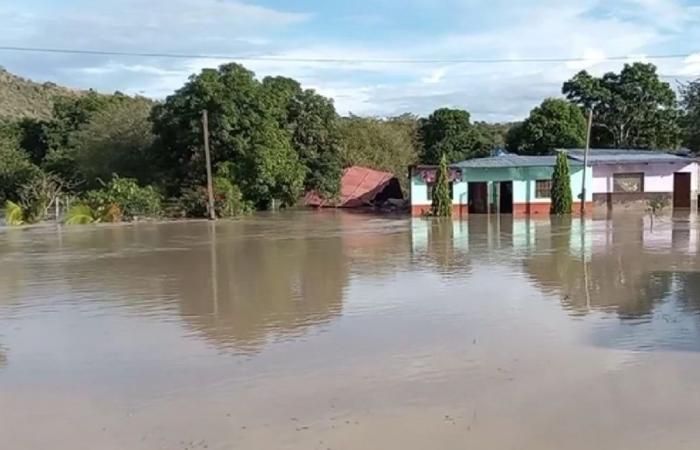 Government declares emergency in Amazonas district affected by landslides | News