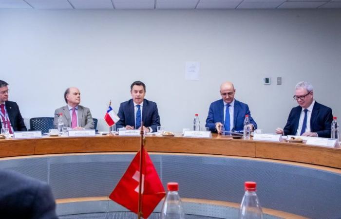 Chile and Switzerland hold VII Meeting of Political Consultations
