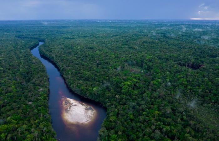Amazonian indigenous people ask the government to keep a promise from the National Development Plan