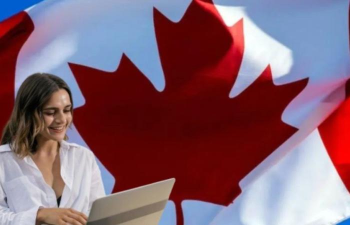 Canada is looking for foreigners to work: they grant residency