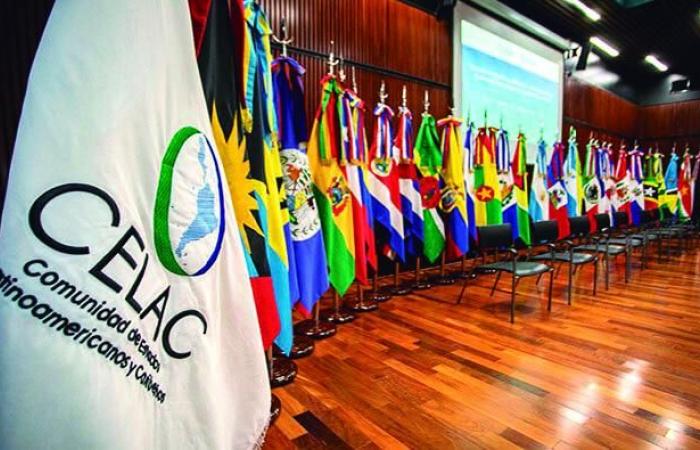 Cuba is vice president of the Committee for Palestinian Rights; Brics will abandon the dollar; Honduras will host the Second Celac Social Forum; Argentines repudiated the Omnibus Law › Hilo Directo › Granma