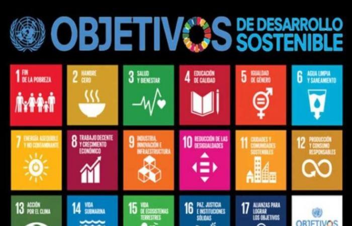 Agenda 2030 well below expectations at the halfway point • Workers