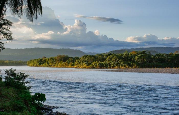 The conservation of the Amazon and the promotion of solar energy: The Church shows its commitment to the care of creation