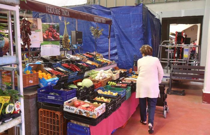 The Advisory Council reproaches the City Council for a verbal contract of 234,000 euros to finish the food market