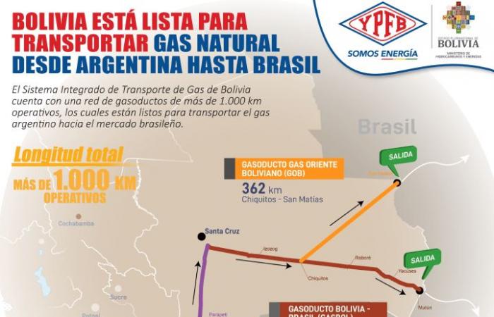 Vaca Muerta gas to Brazil: October is the deadline to decide whether Bolivian gas pipelines will be used