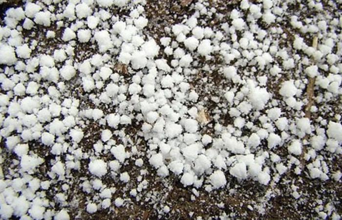 What is the graupel that could fall in Buenos Aires this weekend and what is the difference with snow?