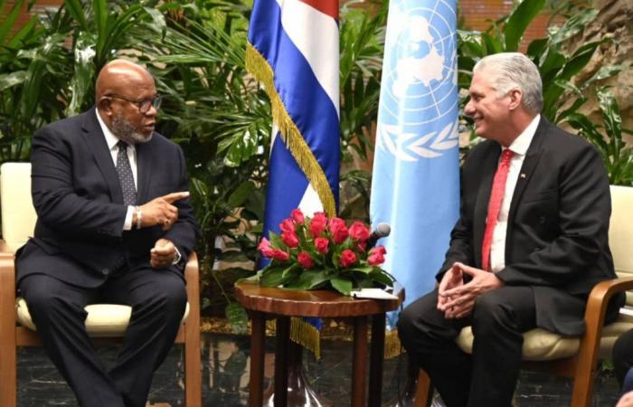 Diaz-Canel exchanges views with the president of the UNGA (+Post)