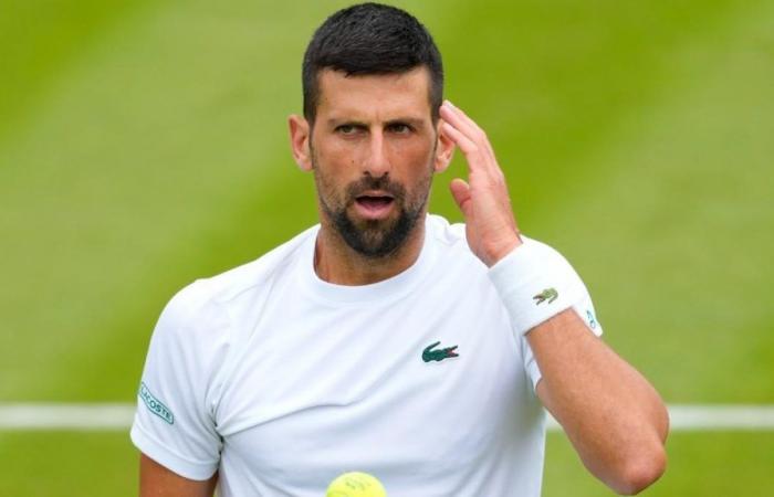 Djokovic defeats Medvedev and presents credentials at Wimbledon