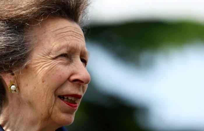 Princess Anne has been discharged from hospital after her horse accident