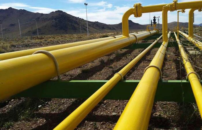 Vaca Muerta gas wealth has already led to segregation proposals