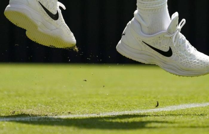 What are the most notable matches that the first round of Wimbledon will have?
