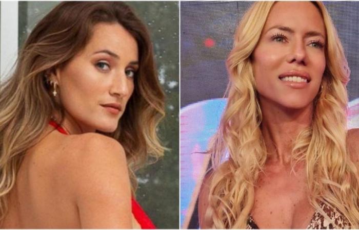 Mica Viciconte called Nicole Neumann a bad mother after the birth of her son