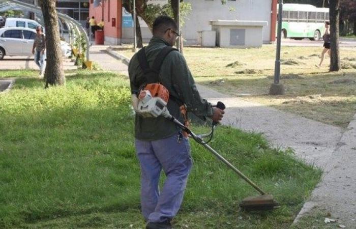 Schedule for weeding, pruning and maintenance of public spaces