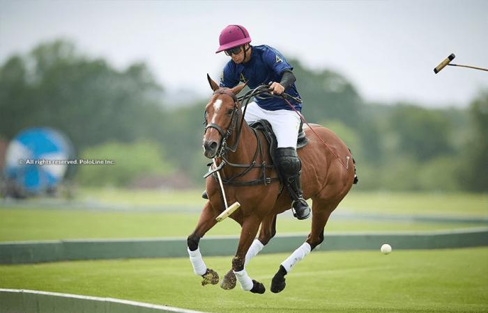British Open Polo Championship for the Cowdray Gold Cup: Great debut for Green Gates and Valhalla