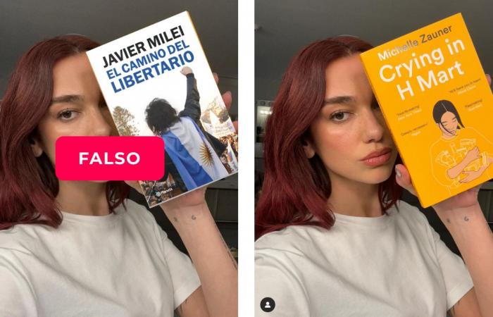 It is false that the singer Dua Lipa published a photo with Javier Milei’s book