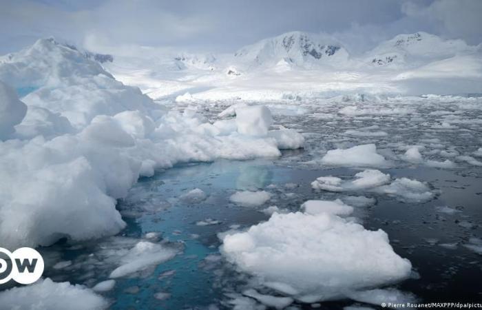 Antarctic ice melting reaches tipping point – DW – 06/28/2024