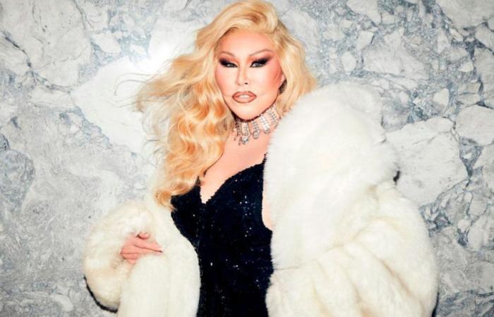 Who is Jocelyn Wildenstein, the Catwoman of New York who went from being a billionaire to losing her entire fortune and living on social security