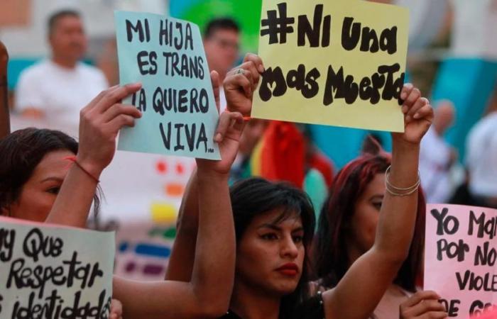Alarming number of cases of violence against the LGBTI population in Colombia: more than 280 in 2024