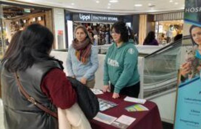 UACh Veterinary Medicine students shared their knowledge with the community – UACh News