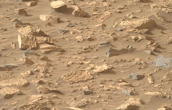 Of all Perseverance’s finds in the rocky soil of Mars, this one wasn’t on the list: “popcorn”
